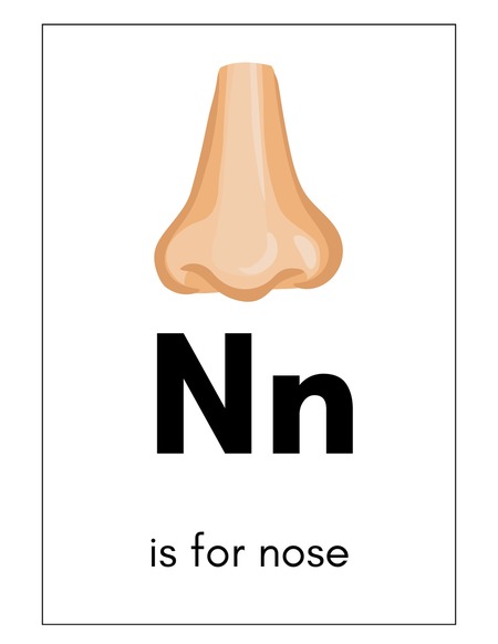 Alphabet Flashcards - Letter N v.2