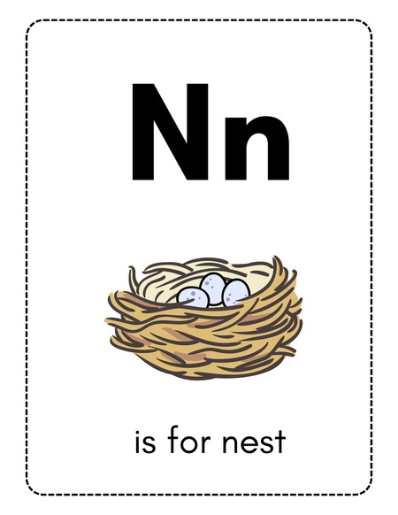 Alphabet Flashcards - Letter N