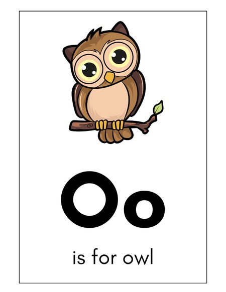 Alphabet Flashcards - Letter O v.2