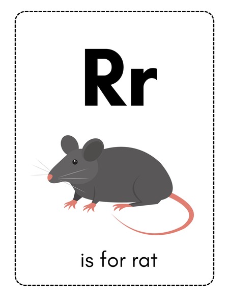 Alphabet Flashcards - Letter R