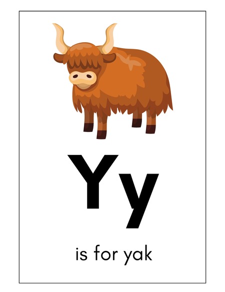 Alphabet Flashcards - Letter Y v.2