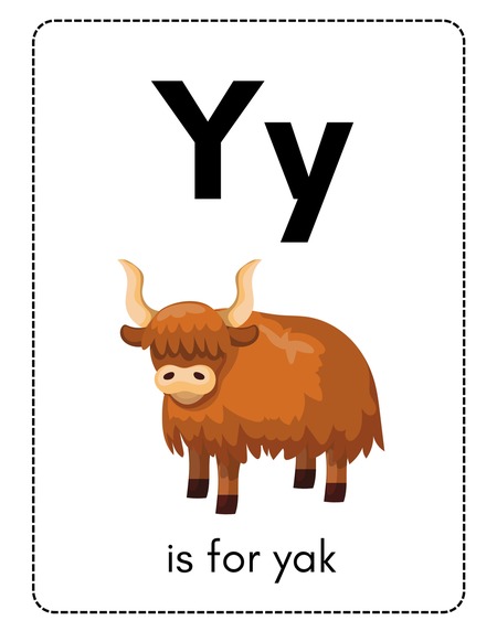Alphabet Flashcards - Letter Y