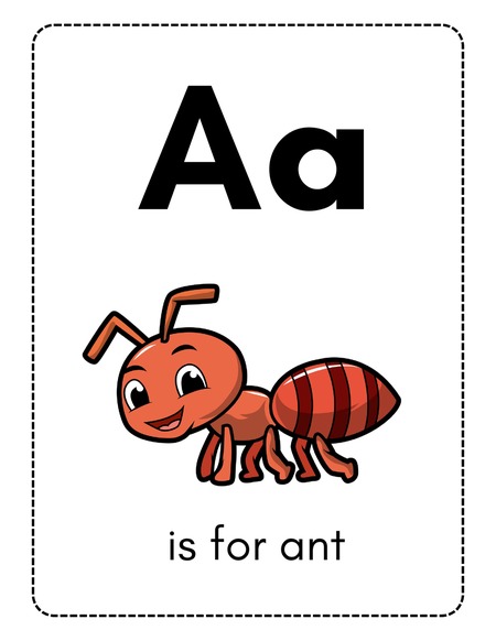 Alphabet Flashcards
