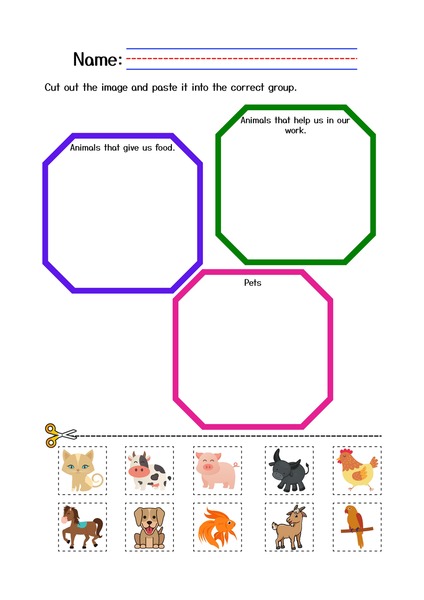 Animal Classification v.2