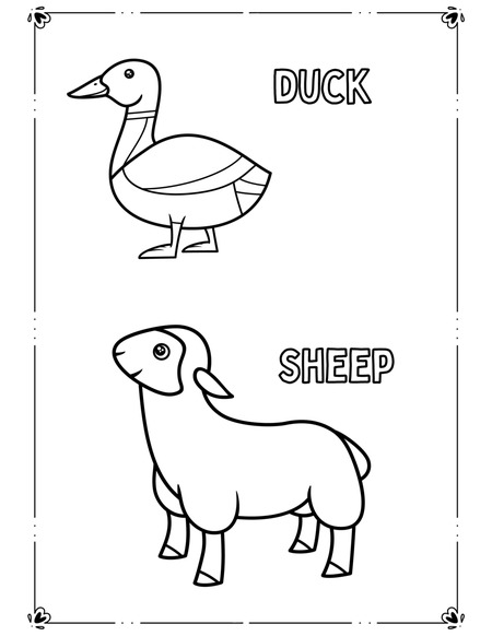 Animal Coloring Book