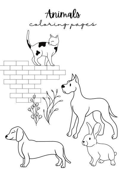 Animals to Color