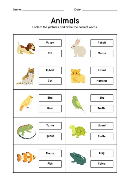 Animals