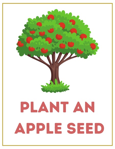Apple Orchard Dramatic Play