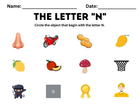 Beginning Sound Activities - Letter N v.2