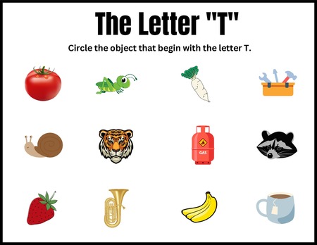 Beginning Sound Activities - Letter T