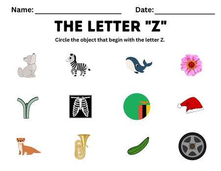 Beginning Sound Activities - Letter Z v.2