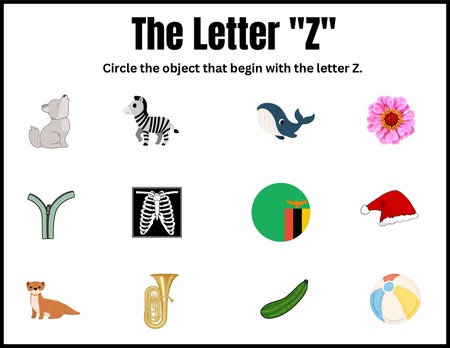 Beginning Sound Activities - Letter Z