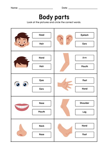 Body Parts v.2