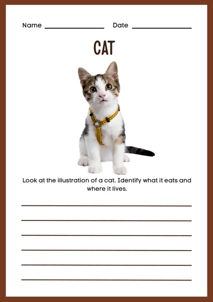 Cat Description