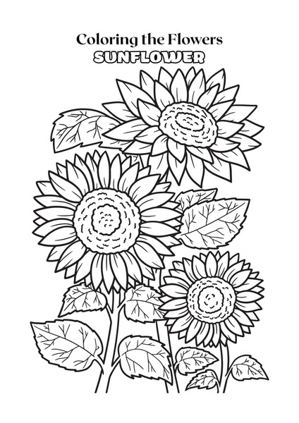 Coloring Flowers - Sunflower