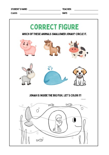 Correct Picture