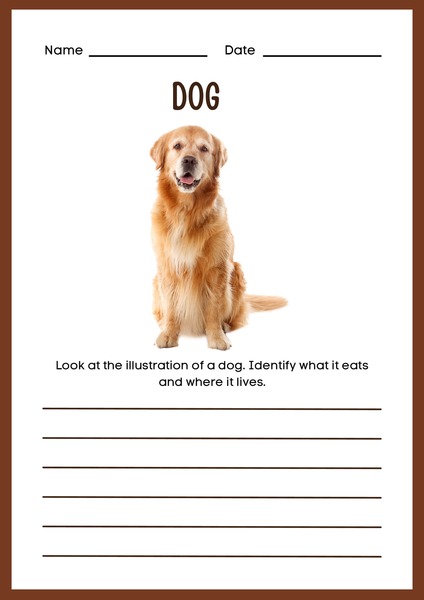 Dog Description
