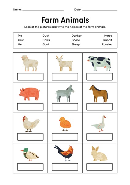 Farm Animals