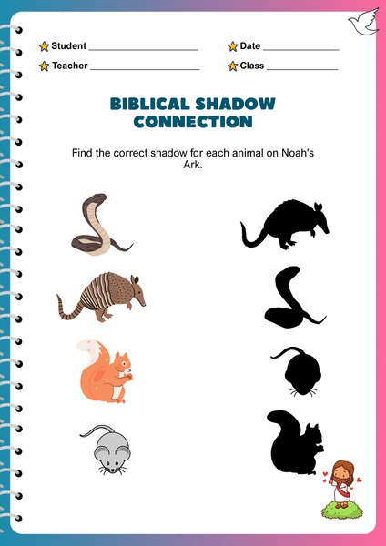 Find the Correct Shadow v.2