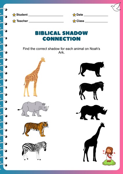 Find the Correct Shadow v.3