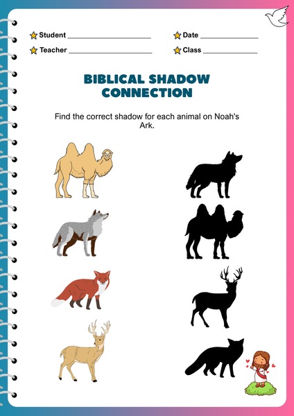 Find the Correct Shadow v.4