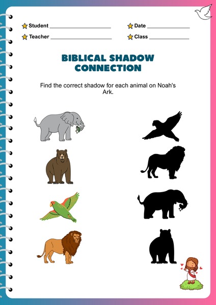 Find the Correct Shadow