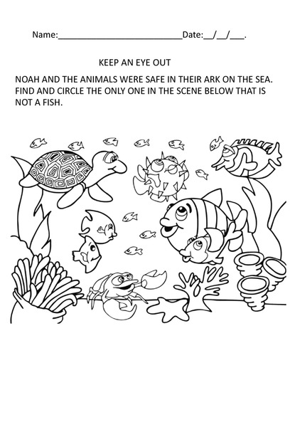 Keep an Eye Out - The Only One That is Not a Fish