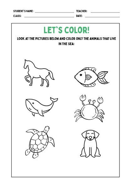 Let's Color - Sea Animals