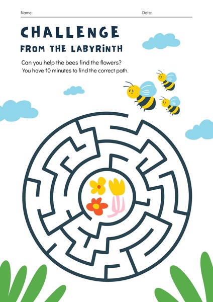 Maze Challenge