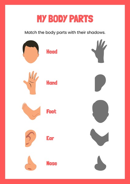 My Body Parts