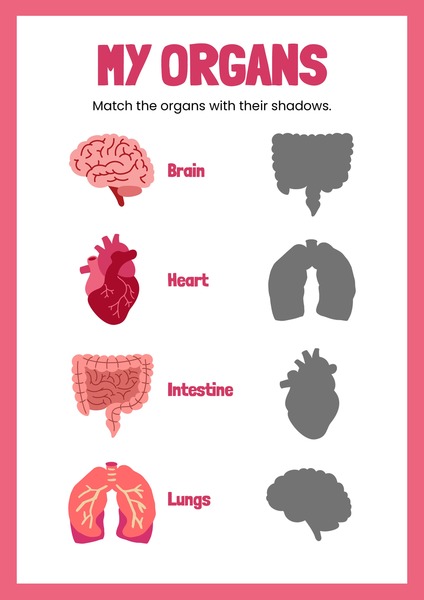 My Organs