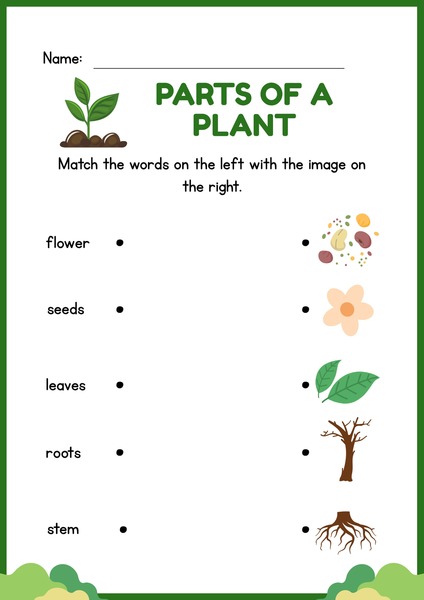 Parts of a Plant