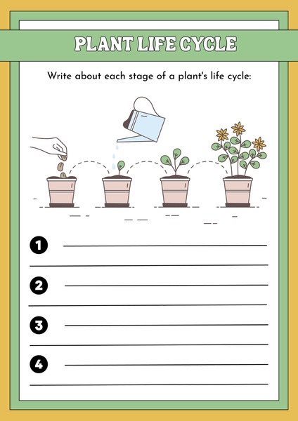Plant Life Cycle
