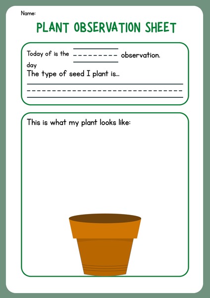 Plant Observation Sheet