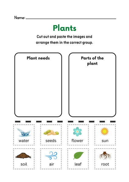 Plants