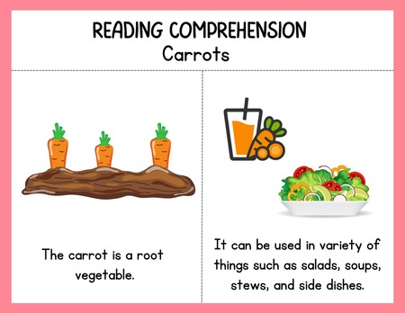 Reading Comprehension Worksheets v.22
