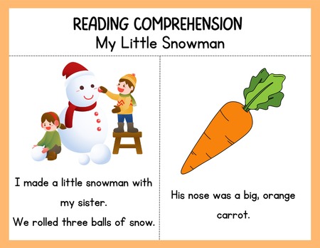 Reading Comprehension Worksheets