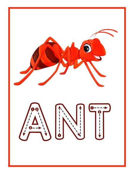 Reading Passage - Ant