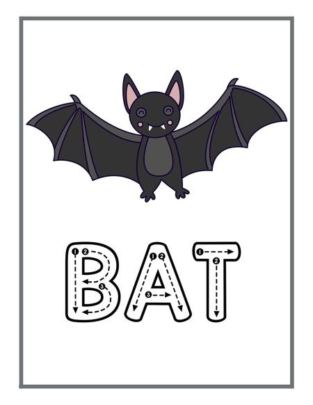 Reading Passage - Bat