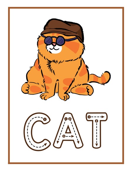 Reading Passage - Cat
