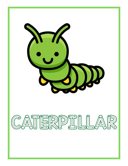 Reading Passage - Caterpillar