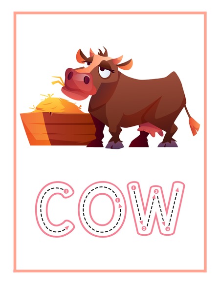 Reading Passage - Cow