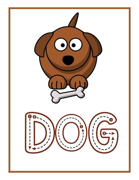 Reading Passage - Dog