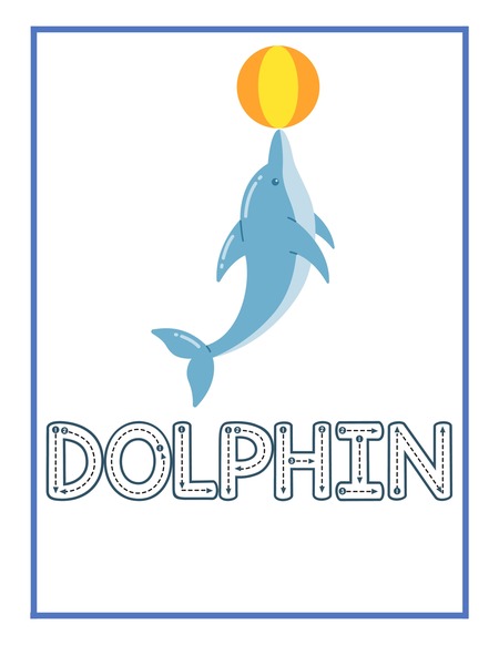 Reading Passage - Dolphin