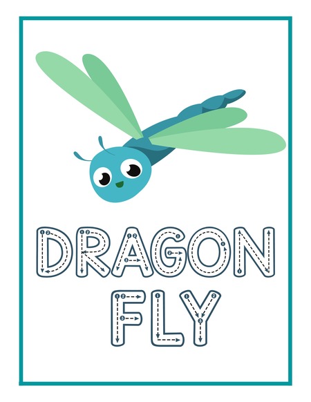 Reading Passage - Dragonfly