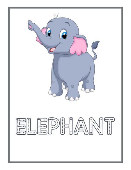Reading Passage - Elephant