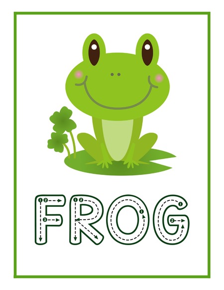 Reading Passage - Frog