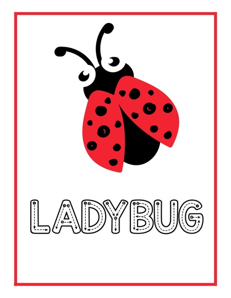 Reading Passage - Ladybug