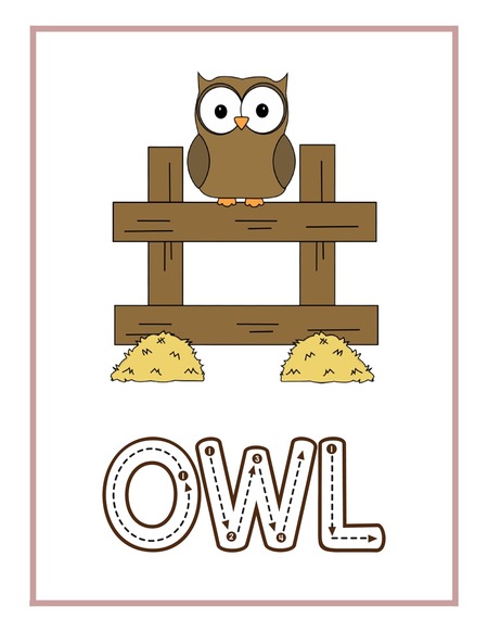 Reading Passage - Owl