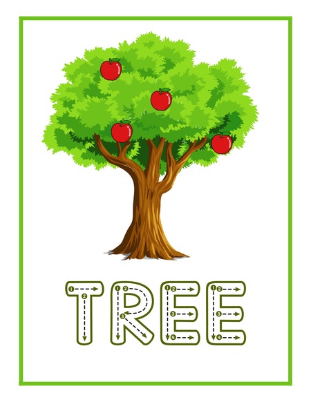 Reading Passage - Tree